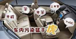 車內(nèi)甲醛正常值以及車內(nèi)放什么東西可以除甲醛？