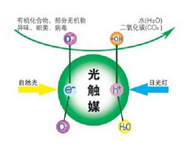 光觸媒除甲醛有什么優(yōu)勢和特點呢